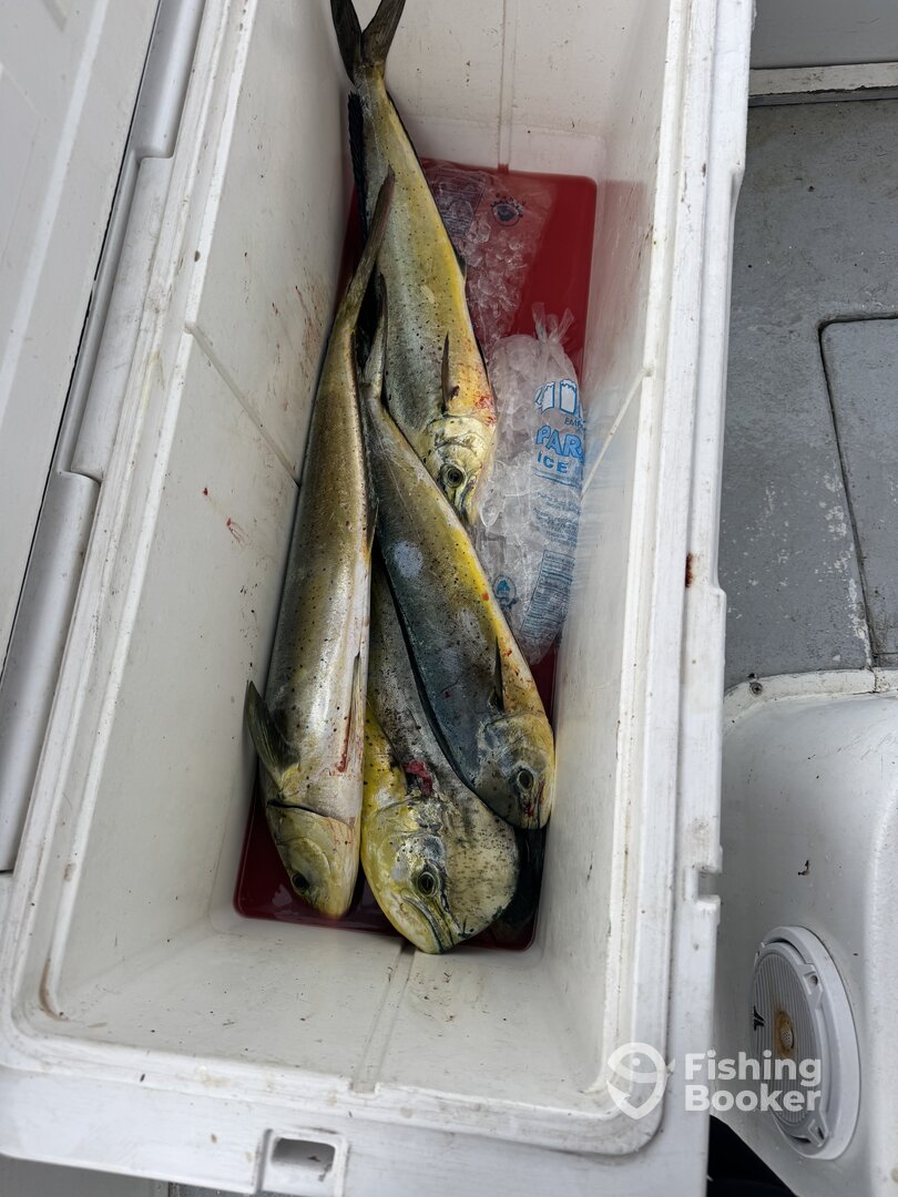 San Juan Report Photo 0