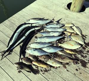 Wilmington Report Photo 1