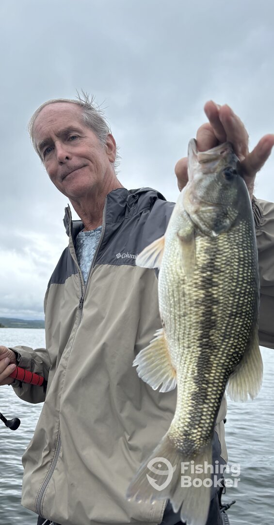 Branson Report Photo 0