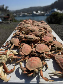 Fishing and Crabbing continue to be on f