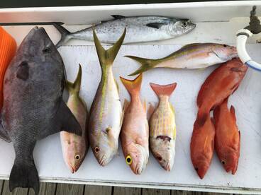 Fajardo Report Photo 2