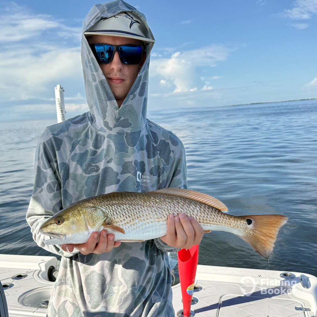 Clearwater Report Photo 0