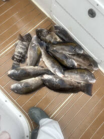 Bourne Report Photo 1