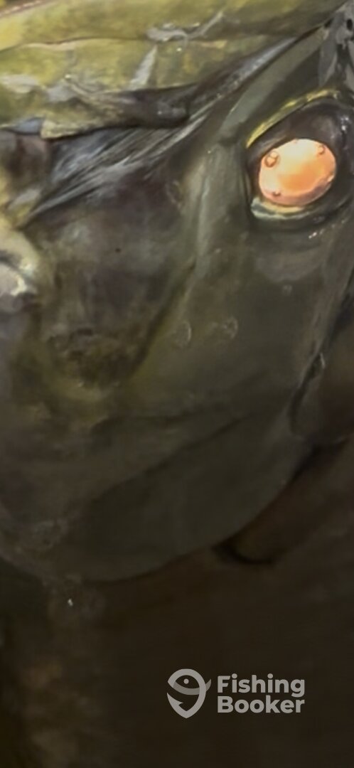 Islamorada Report Photo 0