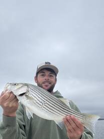 Townville Report Photo 1