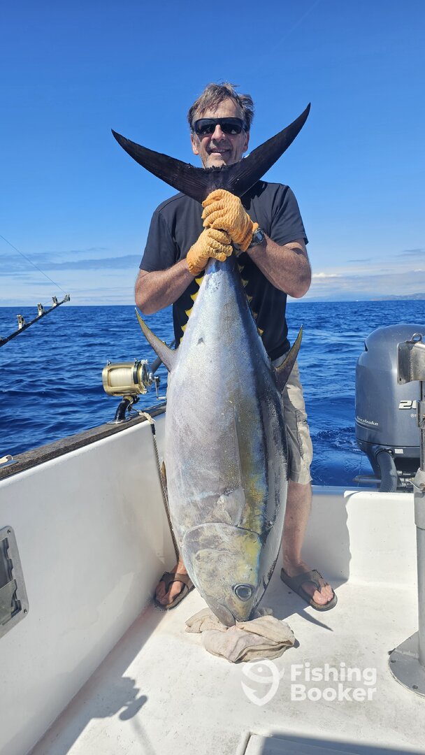 Ponta Delgada Report Photo 0