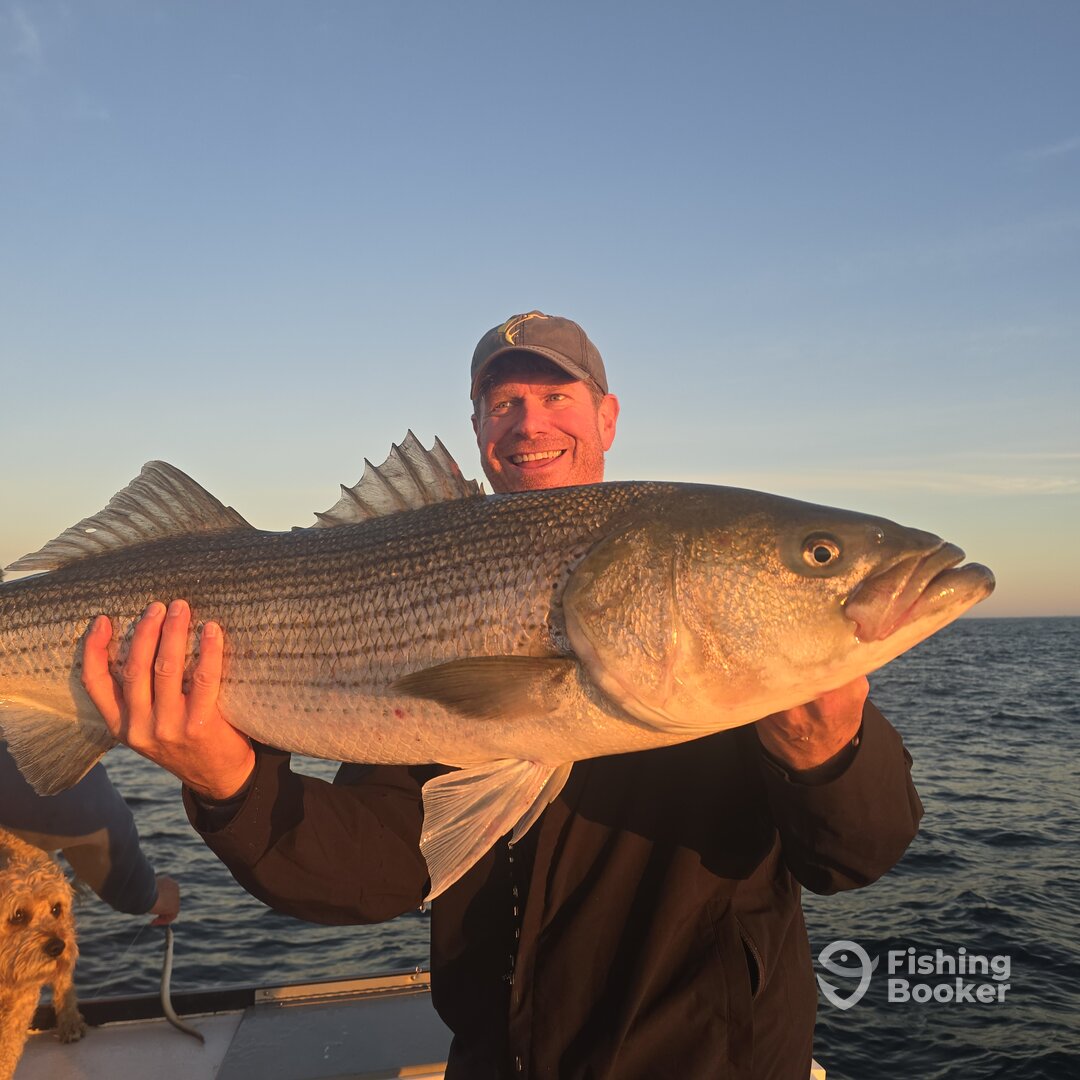 Narragansett Report Photo 0