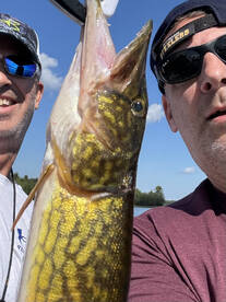 Chunky pickerel for sure