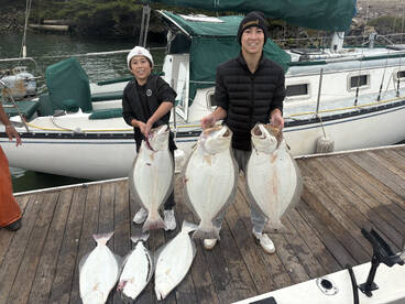 Monster halibut today!