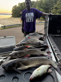 Oxford Report Photo 4