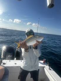 Fajardo Report Photo 2