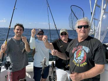 New York City Report Photo 2