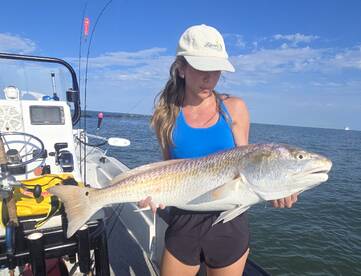 Galveston Report Photo 2