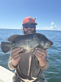 Ruskin Report Photo 2