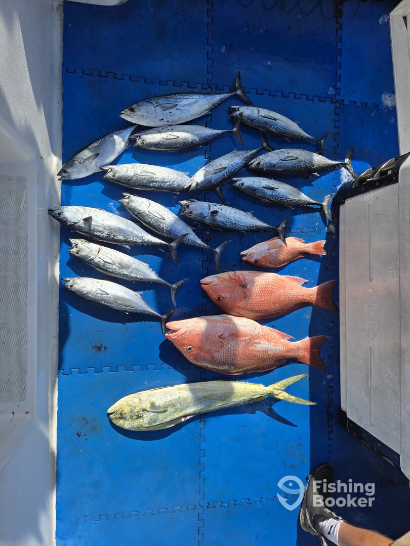 Niceville Report Photo 0