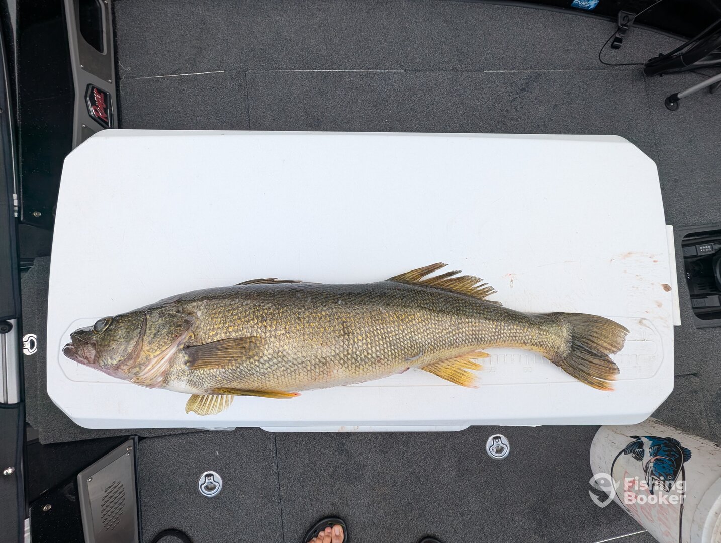 Geneva Report Photo 0