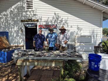 Seabass bite is heating up. 