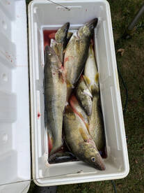 Walleye action remains Hot!