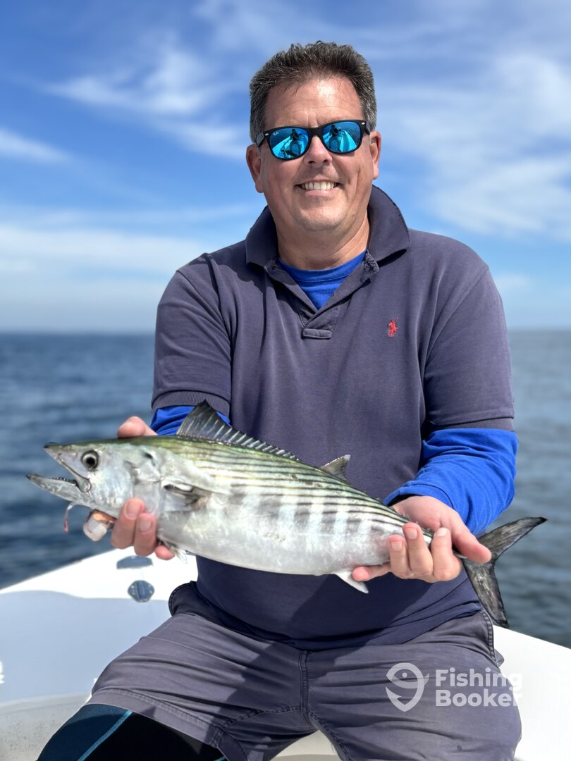 Norwalk Report Photo 0