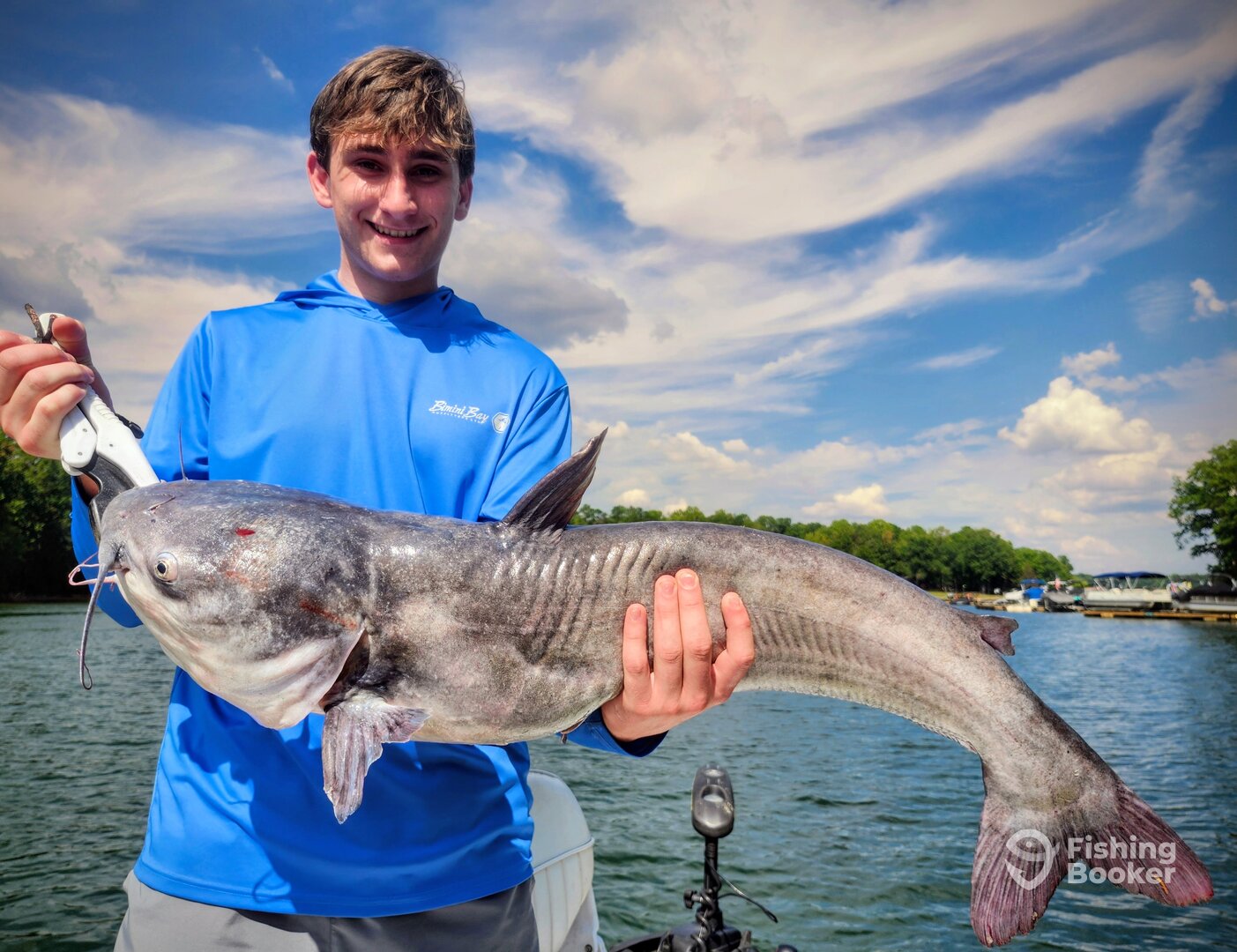 Clover Report Photo 0