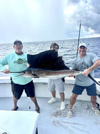 Dania Beach Report Photo 2