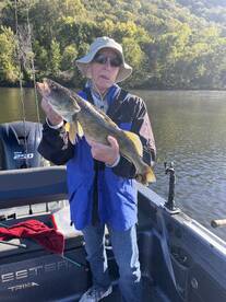 The Mighty Mississippi 