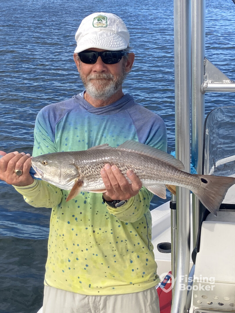 Sarasota Report Photo 0