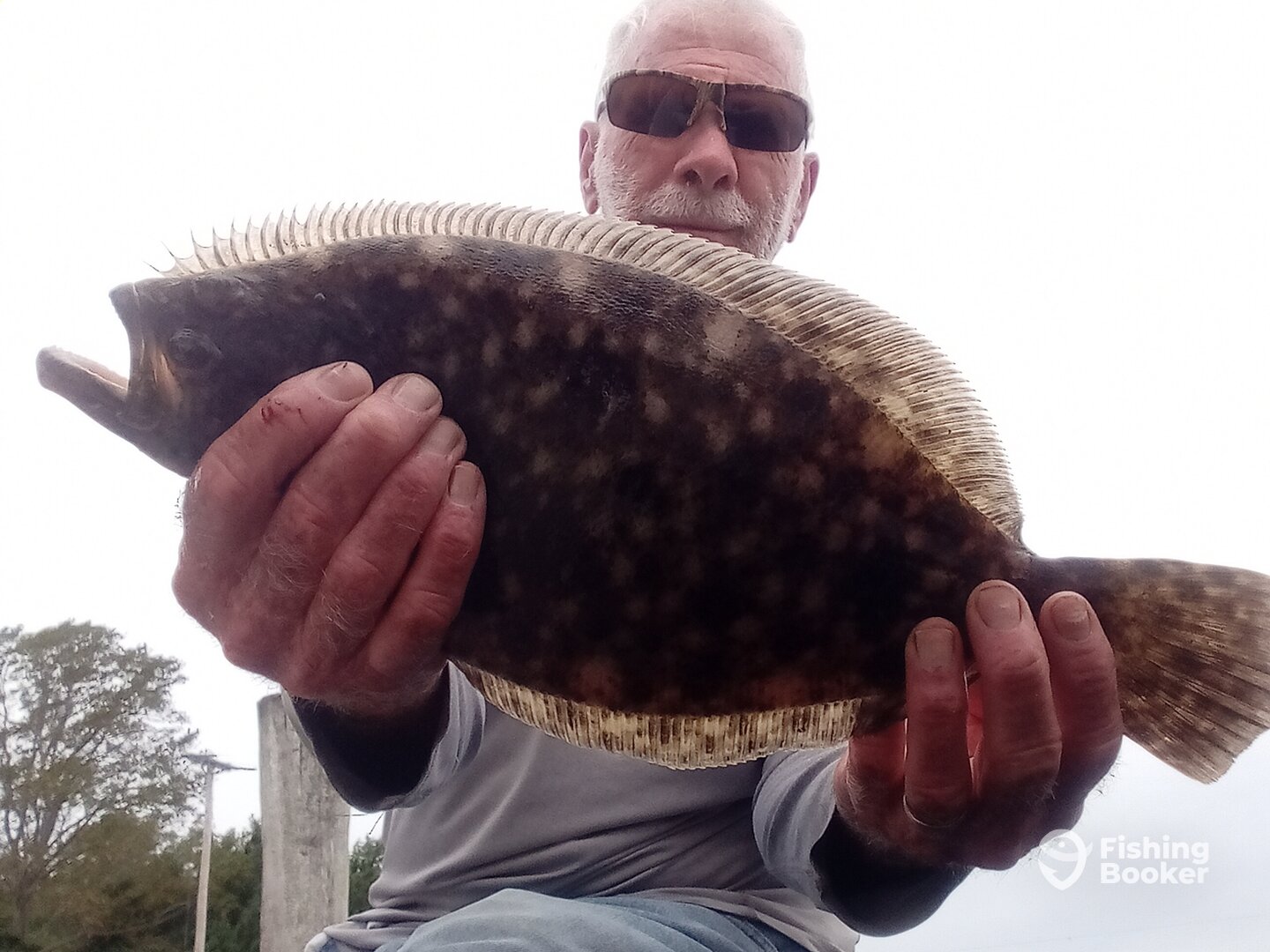 Chincoteague Report Photo 0