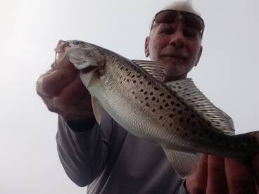 Chincoteague Report Photo 1