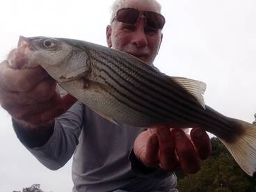 Chincoteague Report Photo 2