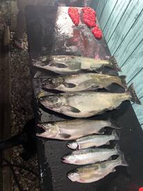 Foto Report Brethren 2