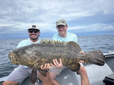 Naples Report Photo 1