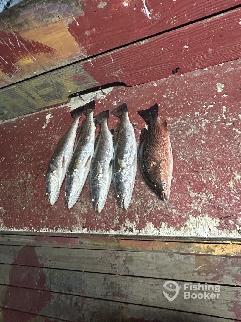 Port Aransas Report Photo 0