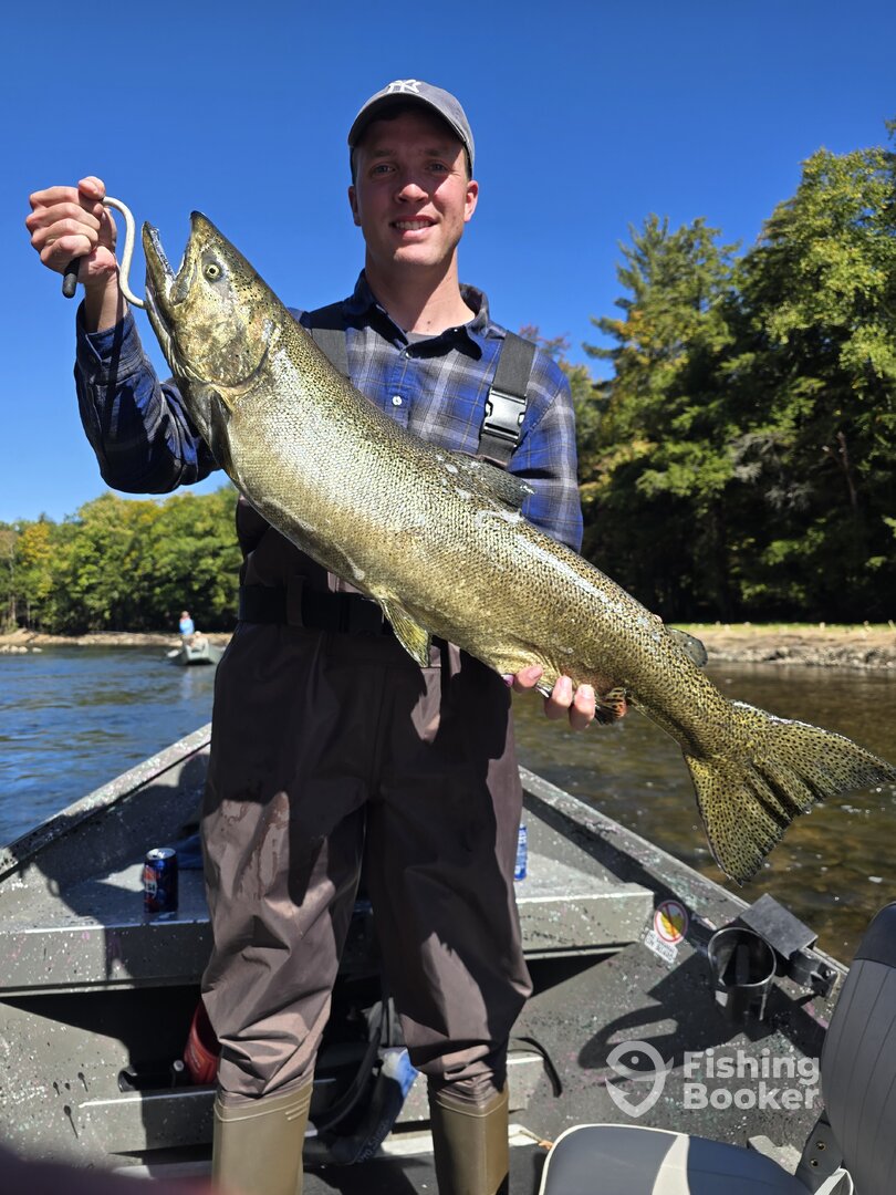 Altmar Report Photo 0