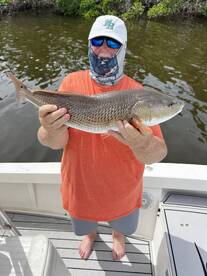 Redfish, Snook and Trout