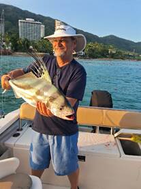 Puerto Vallarta Report Photo 2