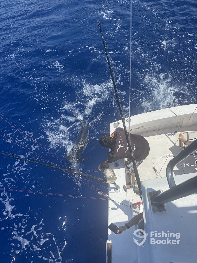 Kailua-Kona Report Photo 0