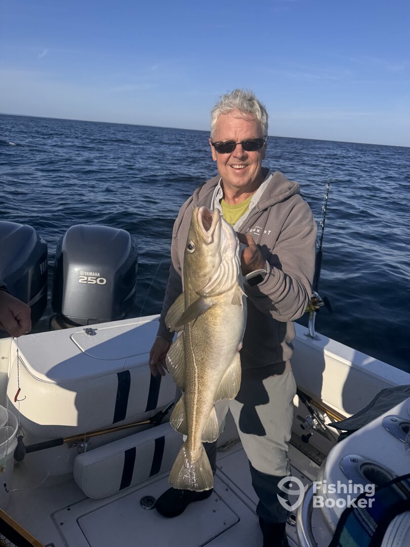 Scituate Report Photo 0