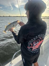 Topwater stripers