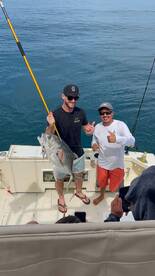 Jack Crevalle Inside Banderas Bay! 