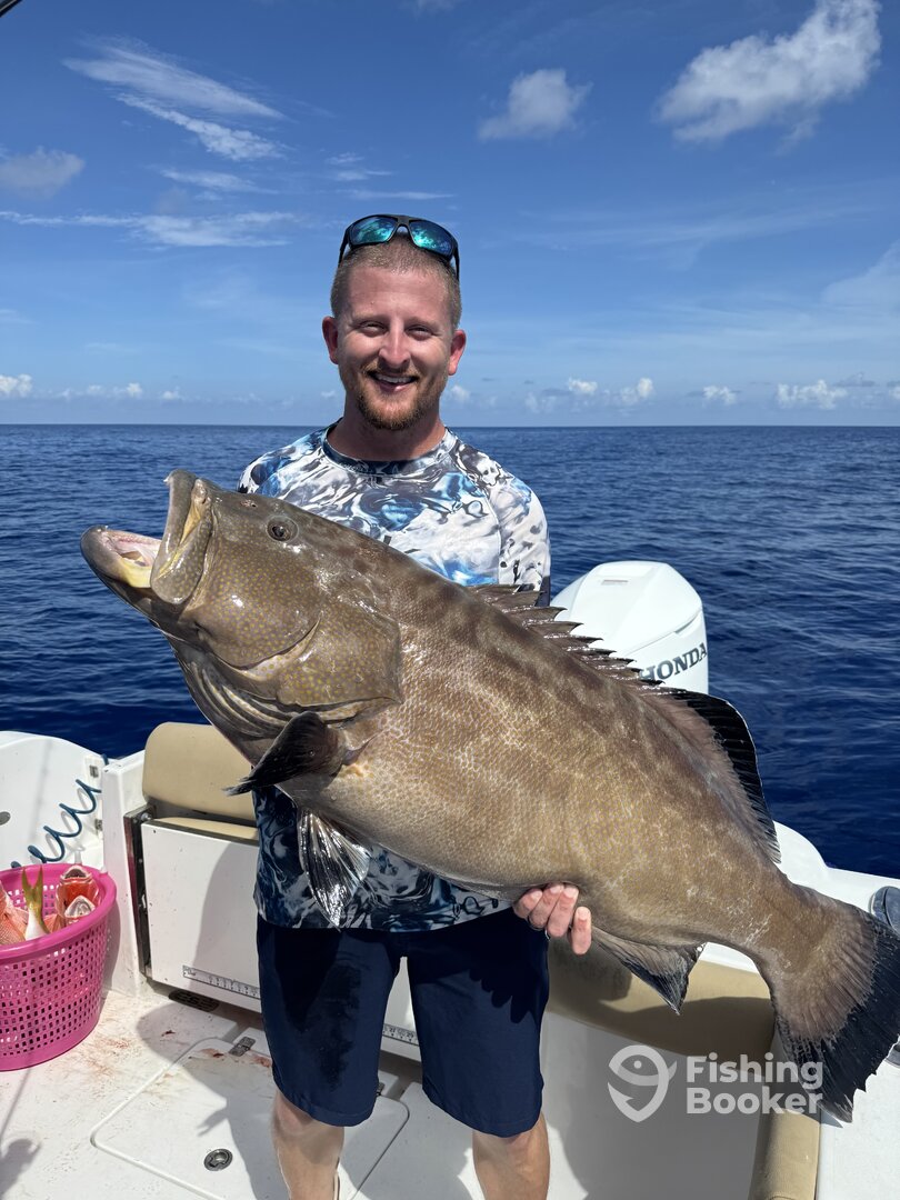 Black Grouper