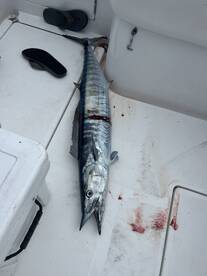 Carolina Beach Report Photo 1