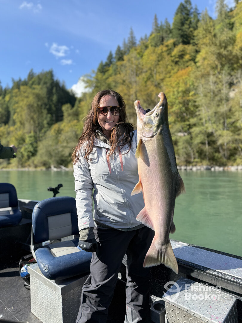 Bellingham Report Photo 0