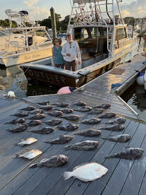 Virginia Beach Report Photo 2