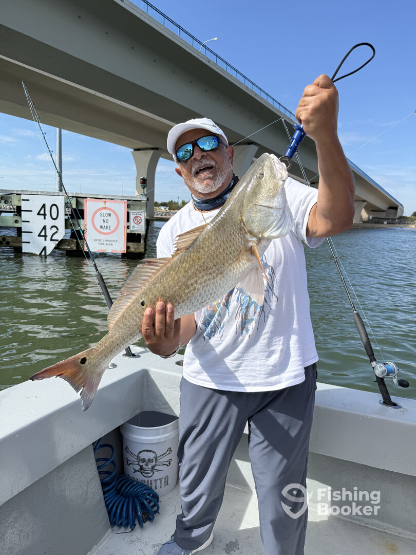 Virginia Beach Report Photo 0