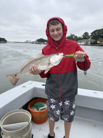 Virginia Beach Report Photo 2