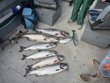 Foto Report Tillamook 2