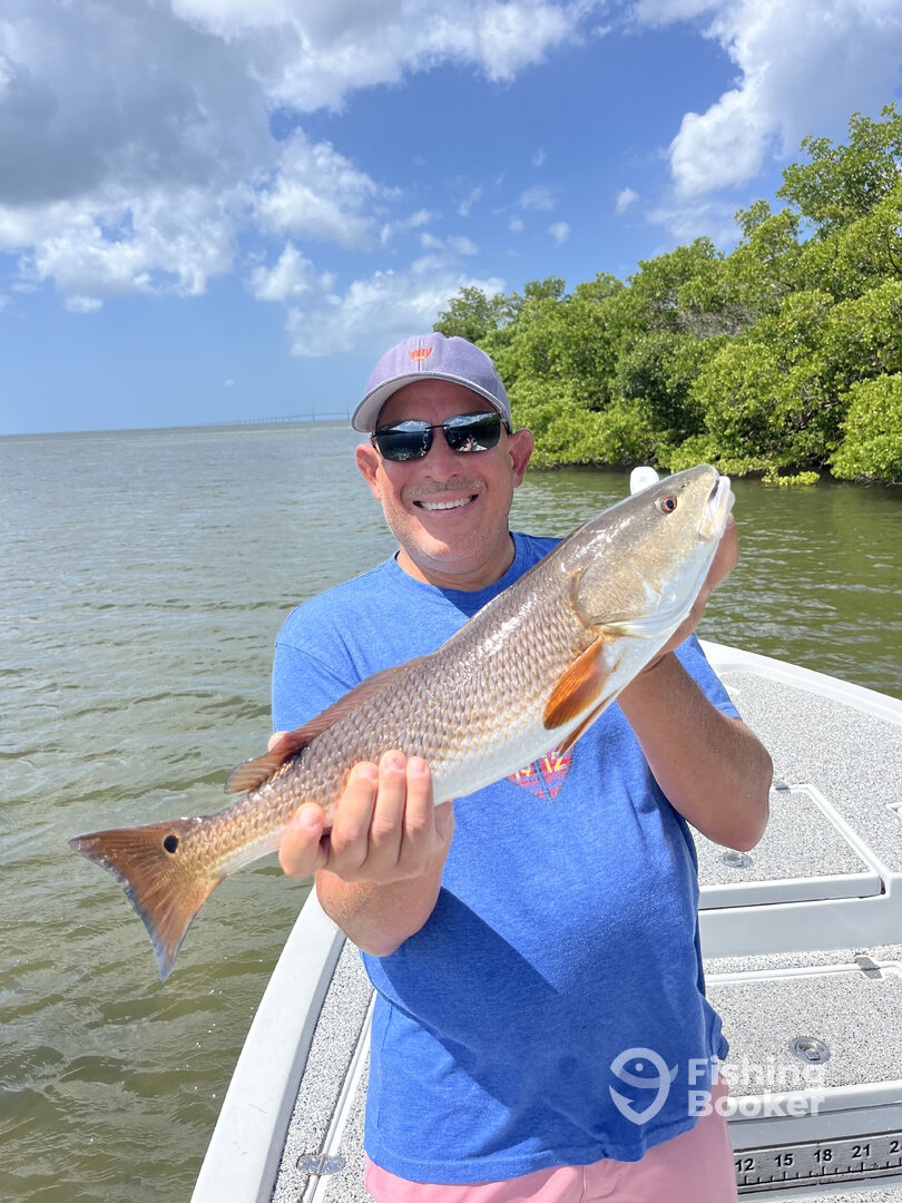 Tampa Report Photo 0