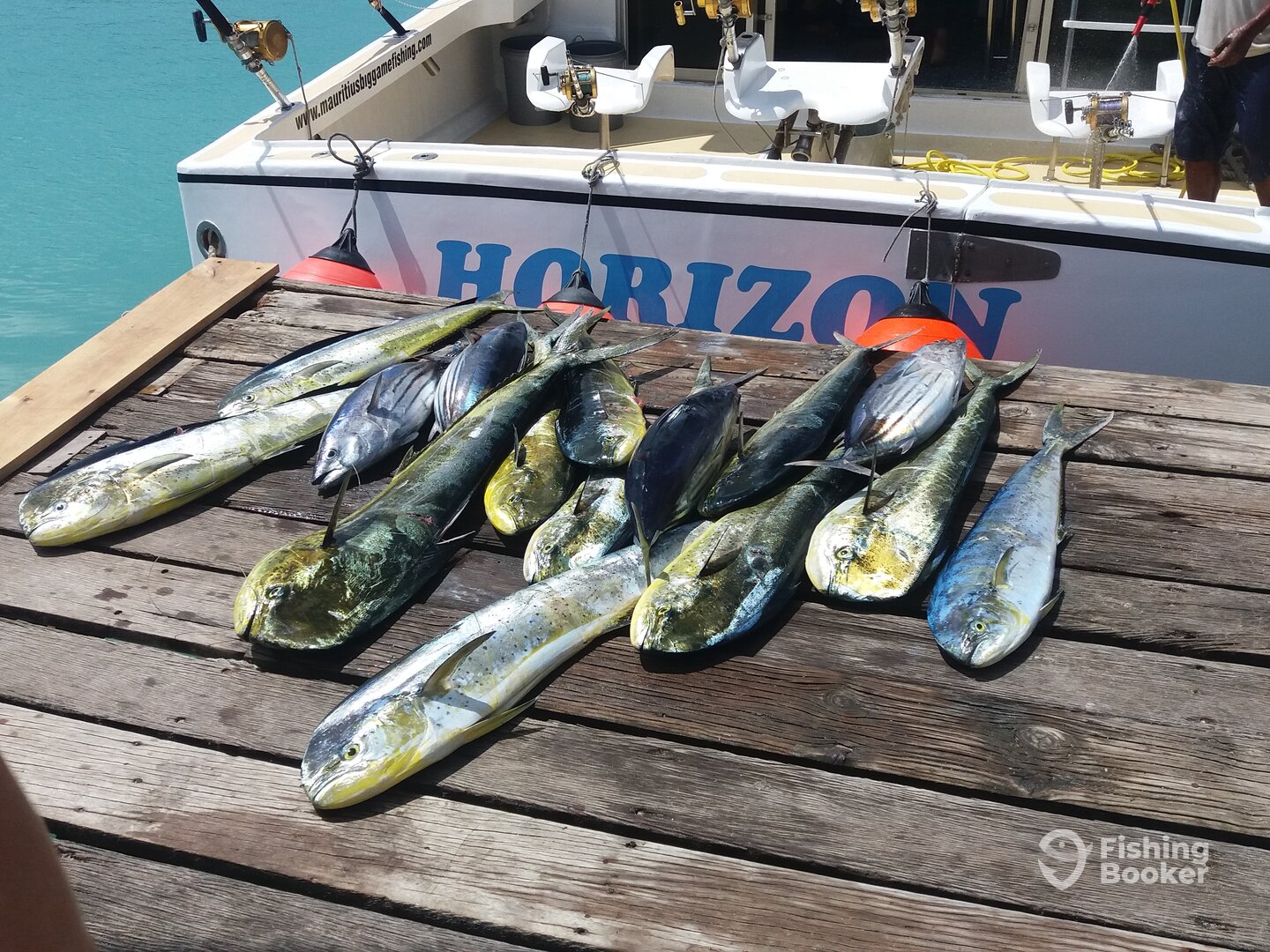 Doradoes and Skip Jack Tunas 27Sep