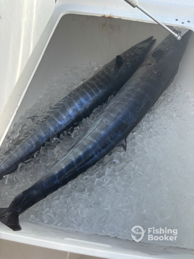 Sneads Ferry Report Photo 0